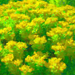 Une image de Orpin blanc: Un choix parfait pour une couverture florale dans votre jardin méditerranéen - image générée par IA (DALL-E)